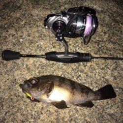 ナイトメバリング☆GUNNING-STYLE