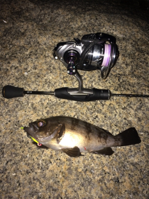 ナイトメバリング☆GUNNING-STYL…