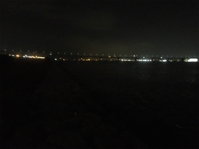 淀川ブリームゲーム 一転渋い