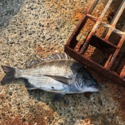 暑さに負けた！