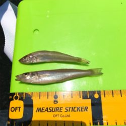 先日の大雨の影響がまだ…