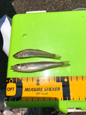 先日の大雨の影響がまだ…