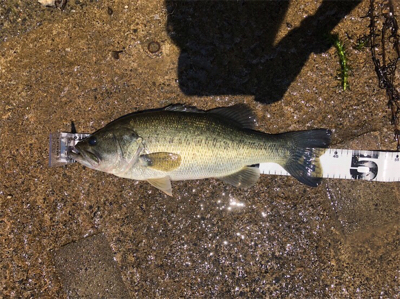 灼熱の耐久釣行