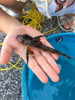 ちょいとちょい投げ☆