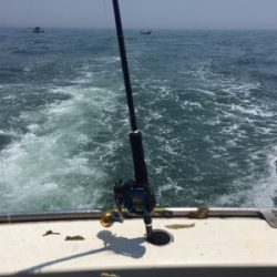 良いのは天気だけ