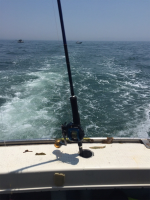 良いのは天気だけ