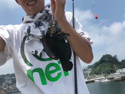 真鶴  7目？釣り (外道多め)