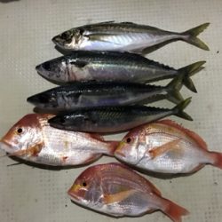 マイクロジギング