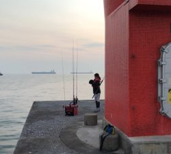 坂ノ市一文字で青物狙い