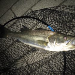 マルチゲーム（五目  笑）