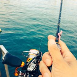 旅行の合間にパックロッドで