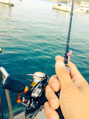 旅行の合間にパックロッドで