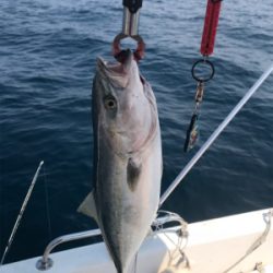 炎天下のマイボート 釣行