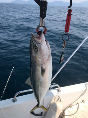 炎天下のマイボート 釣行
