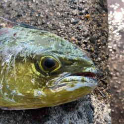 爆。トップゲーム