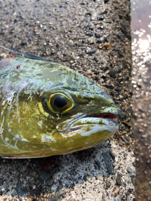 爆。トップゲーム