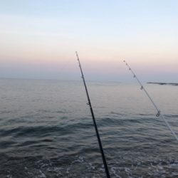 めげずに大キス狙い