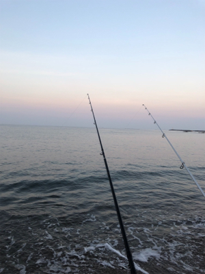 めげずに大キス狙い