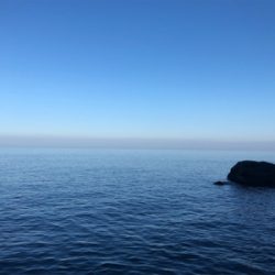 ロックフィッシュ