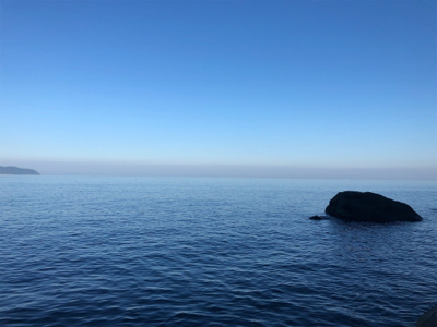 ロックフィッシュ