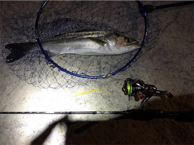 アジングロッドで、、、