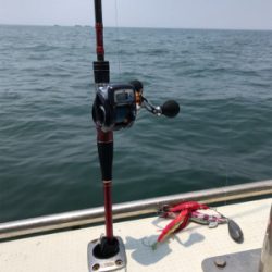 今年、初タコ釣り