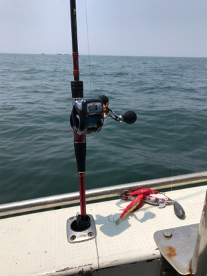 今年、初タコ釣り