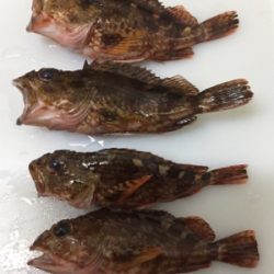 暑かったけど楽しかったです