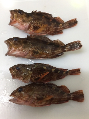 暑かったけど楽しかったです