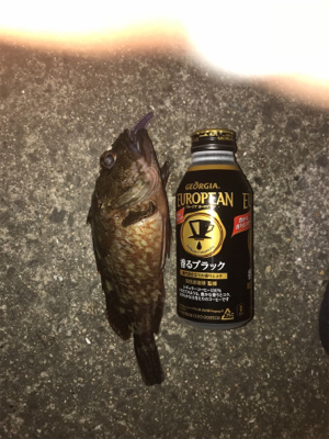 セアカゴケグモに注意