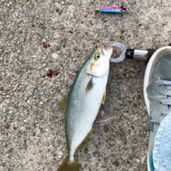 ガシリングからのジギング！