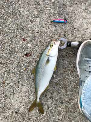 ガシリングからのジギング！