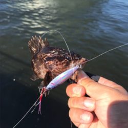 3バラシからの。