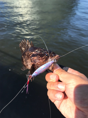 3バラシからの。