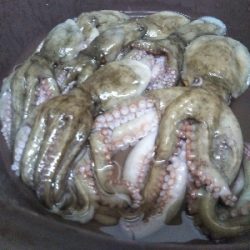 今週もオクトパッシング（南港）