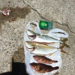 淡路島遠征パート3