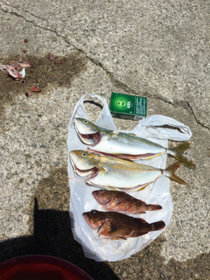 淡路島遠征パート3