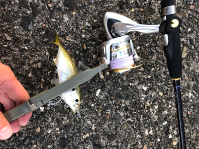 仕事終わりのアジング釣行