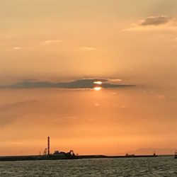 タコ釣り撃沈後の夜釣り