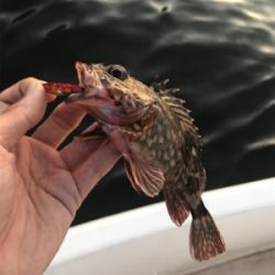 真夏の名港ボート