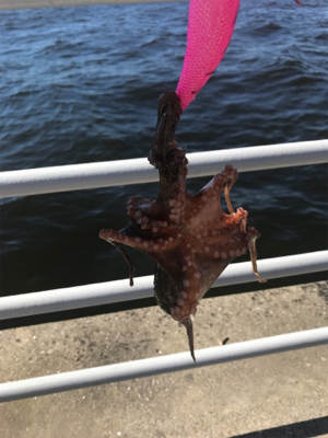 ロスト地獄のオクトパッシング