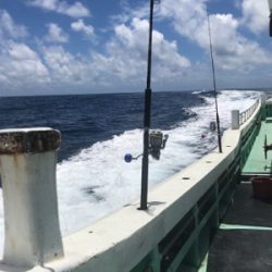 キハダ キャスティング ジギング