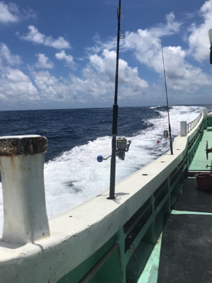 キハダ キャスティング ジギング