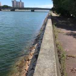 昨日のリベンジ