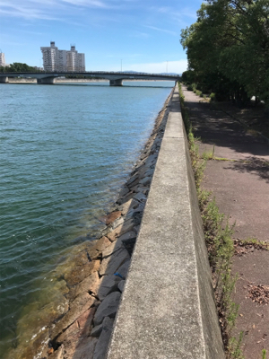 昨日のリベンジ