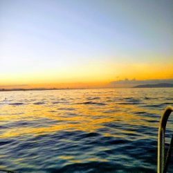 竿が折れ心も折れた、