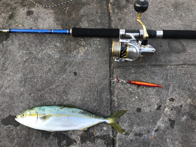 朝まづめ ショアジギ