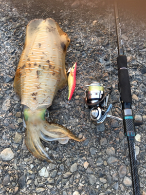 仕事終わりの釣行