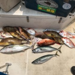 真夏のマイボート 釣行