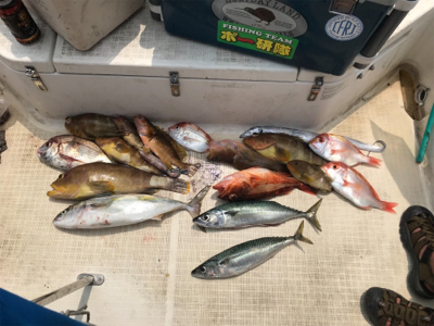 真夏のマイボート 釣行